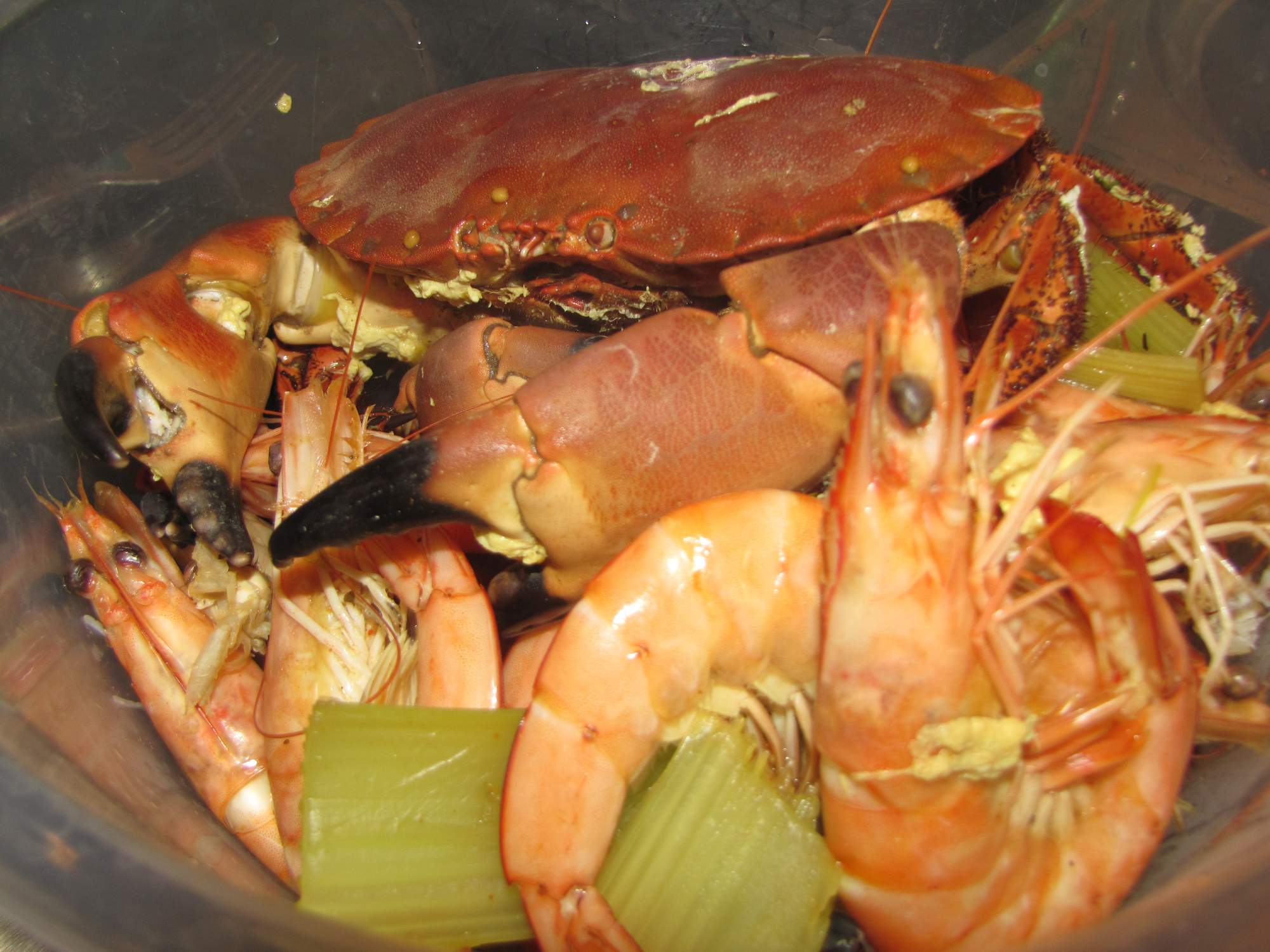 Solve SeaFood Gumbo jigsaw puzzle online with 588 pieces