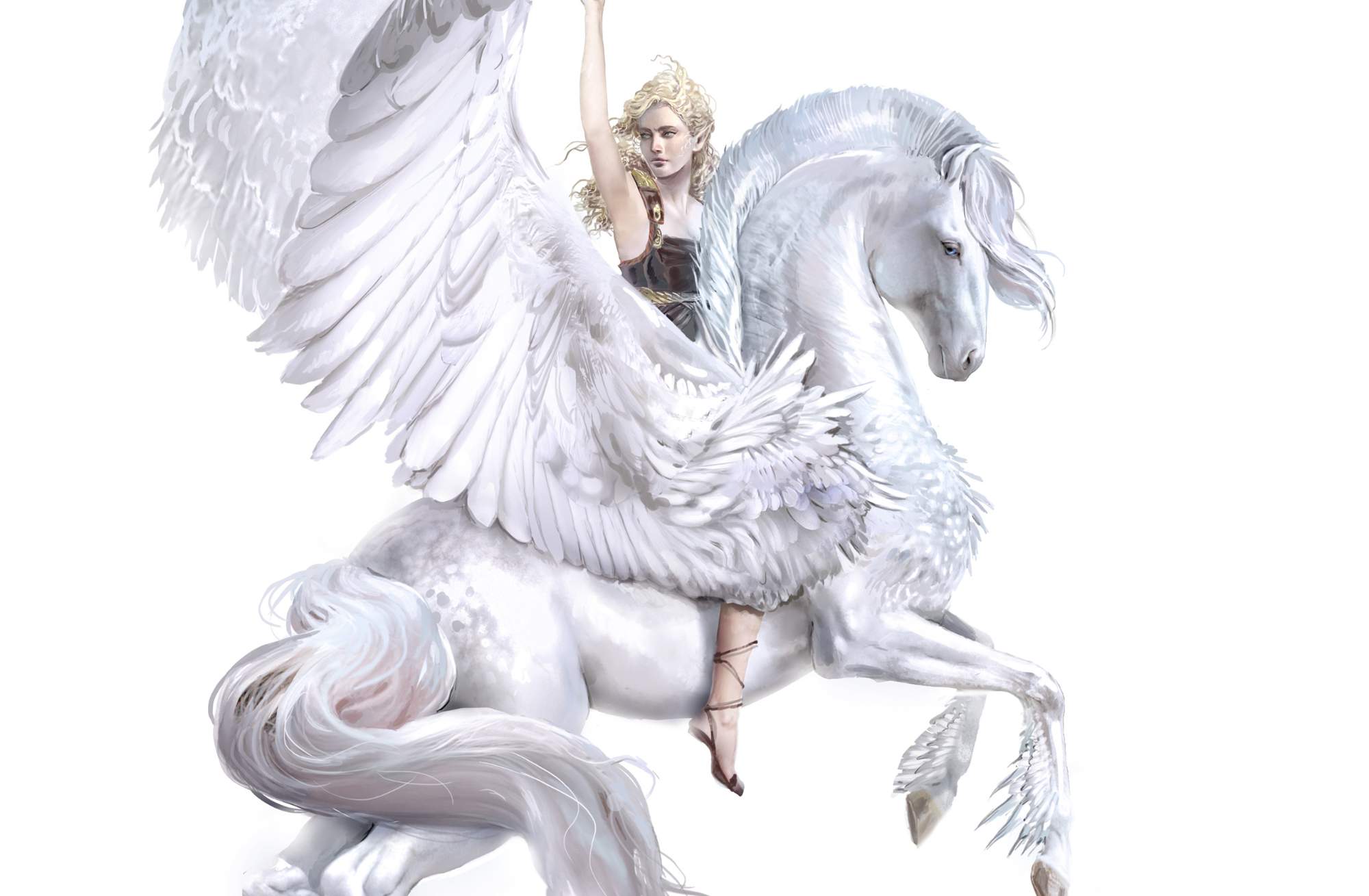 womens pegasus