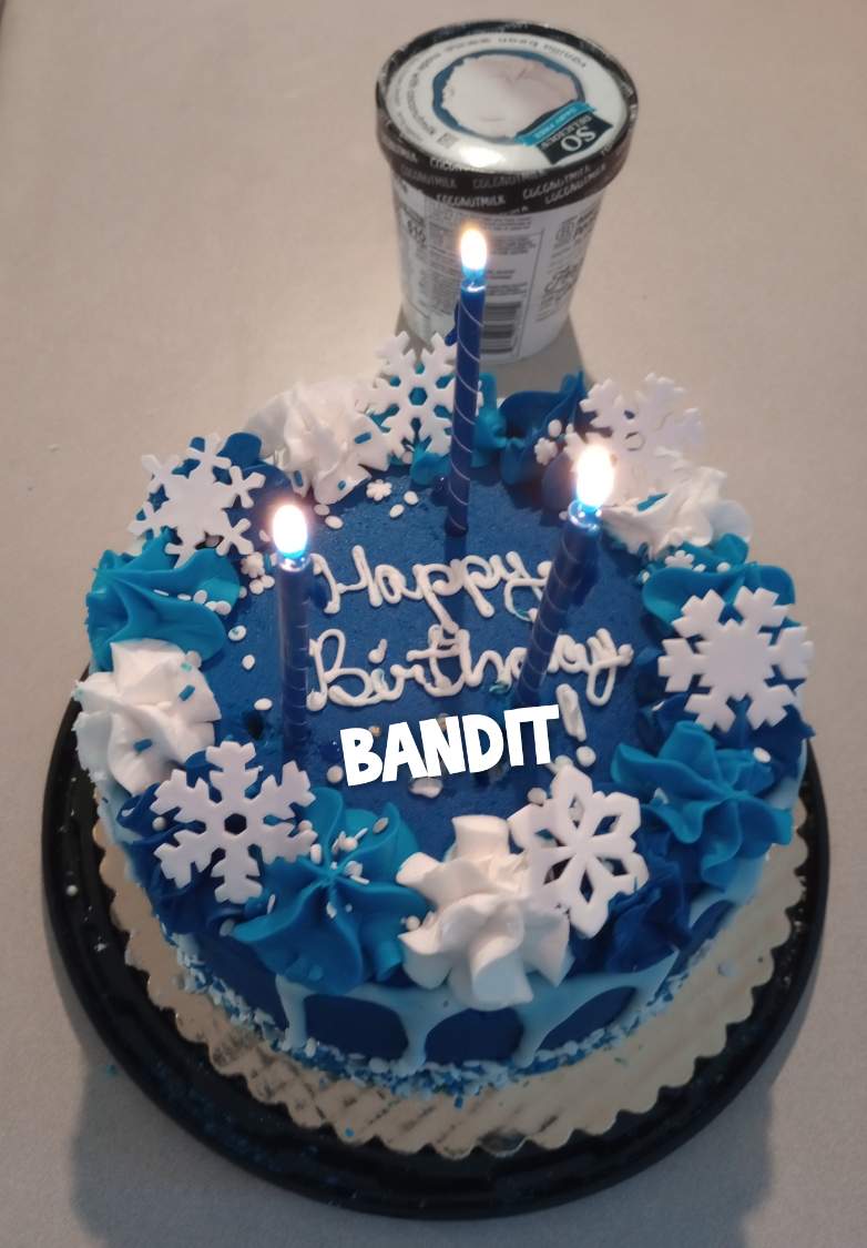 Solve Bandit's birthday cake. So pretty and good! And gone .. jigsaw