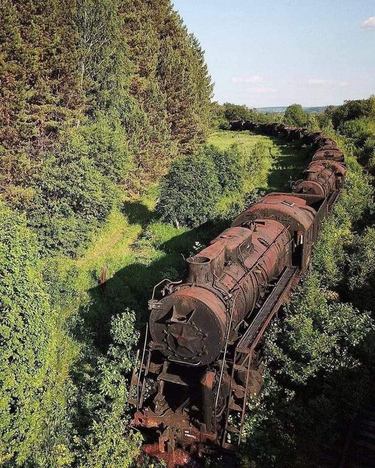 Solve Abandoned train in nature jigsaw puzzle online with 80 pieces