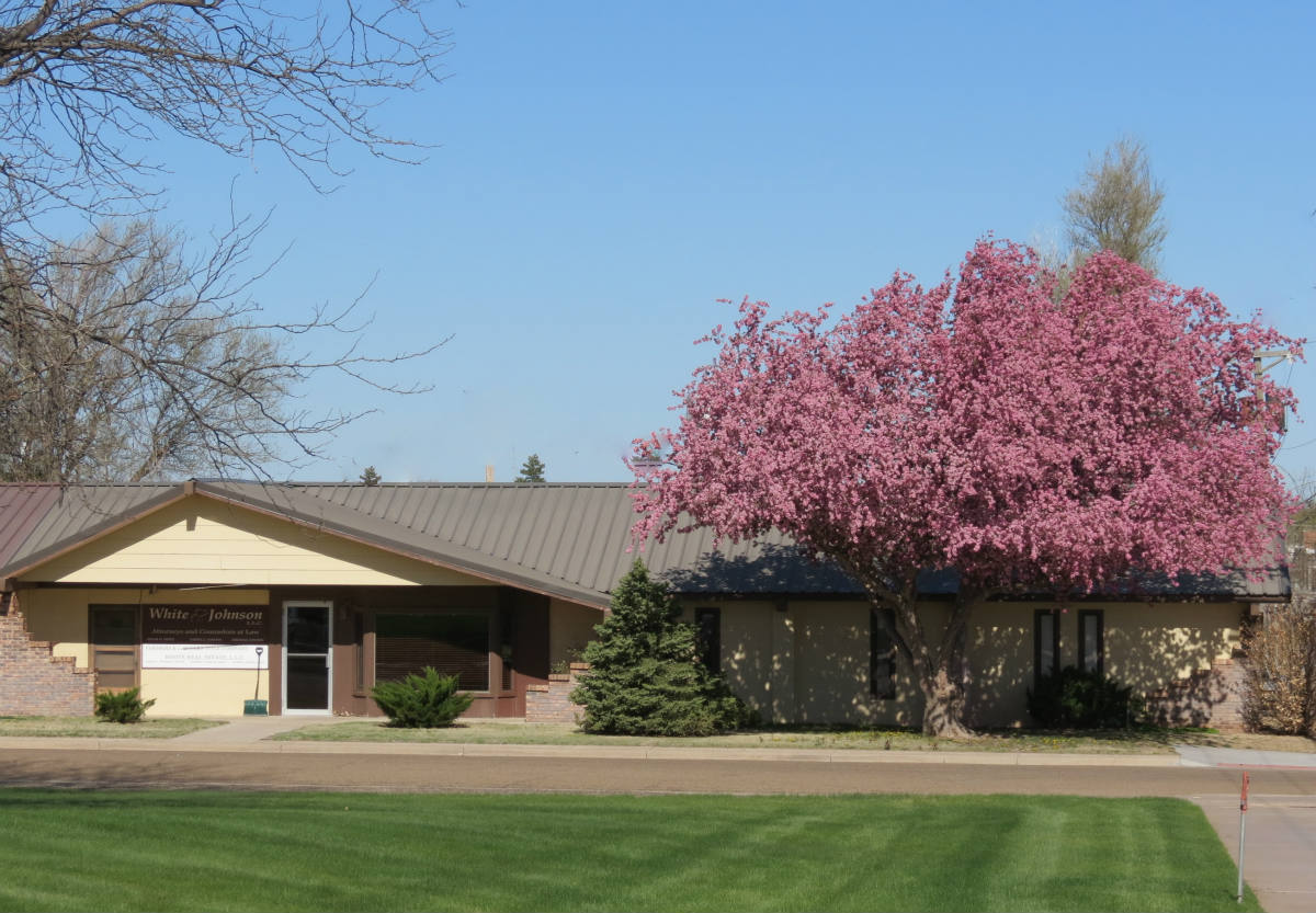 Solve Flowering Crabapple Tree In Front Of An Elkhart, Kansas Business jigsaw puzzle online with