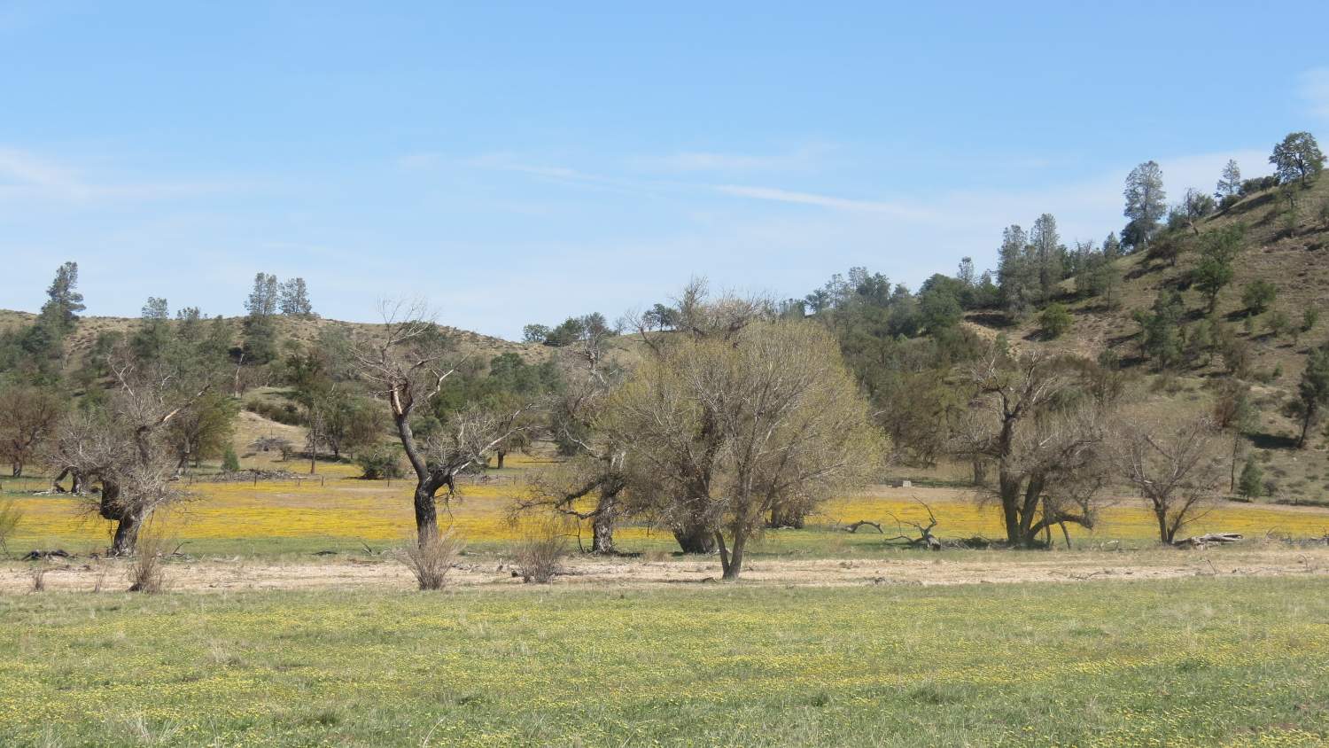 Solve Shell Creek Valley South Of Shandon, California jigsaw puzzle