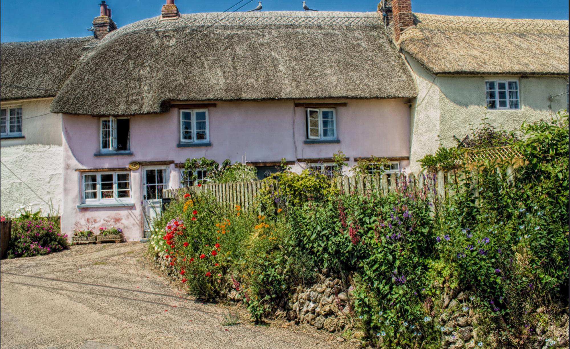 Solve Summer in Devon. Uk. jigsaw puzzle online with 198 pieces