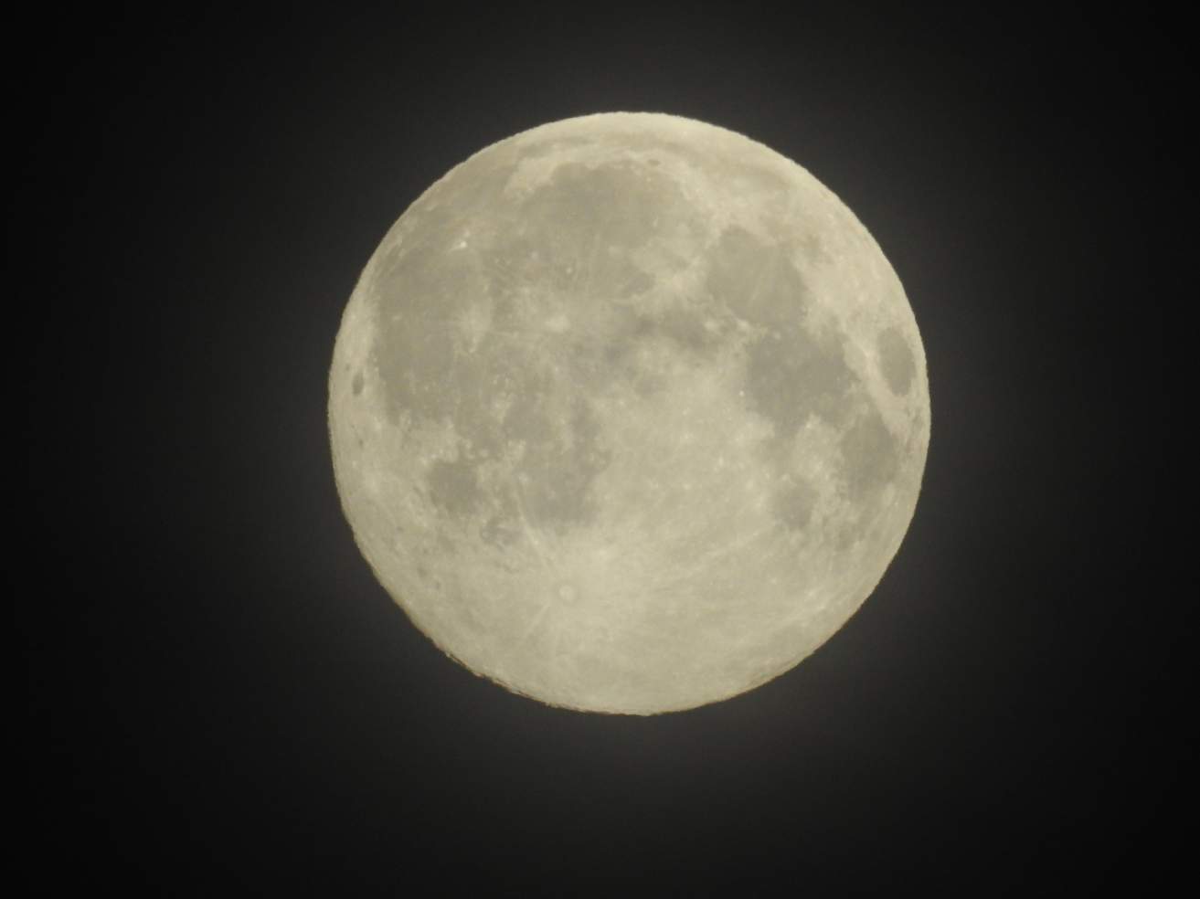 solve-full-moon-last-night-jigsaw-puzzle-online-with-30-pieces