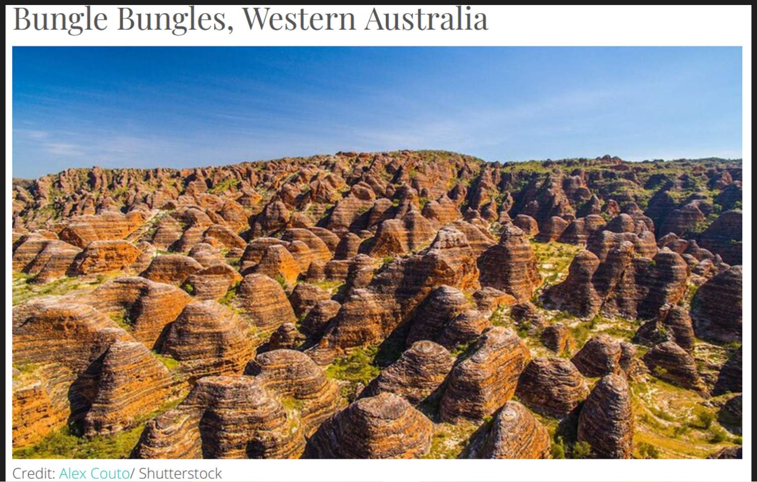 Solve AUSTRALIABUNGLEBUNGLES jigsaw puzzle online with 40 pieces