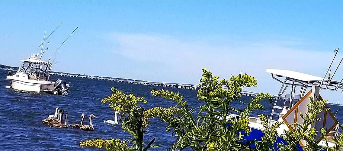 Solve Bayside in quaint little shore town, Seaside Park, NJ 3 jigsaw