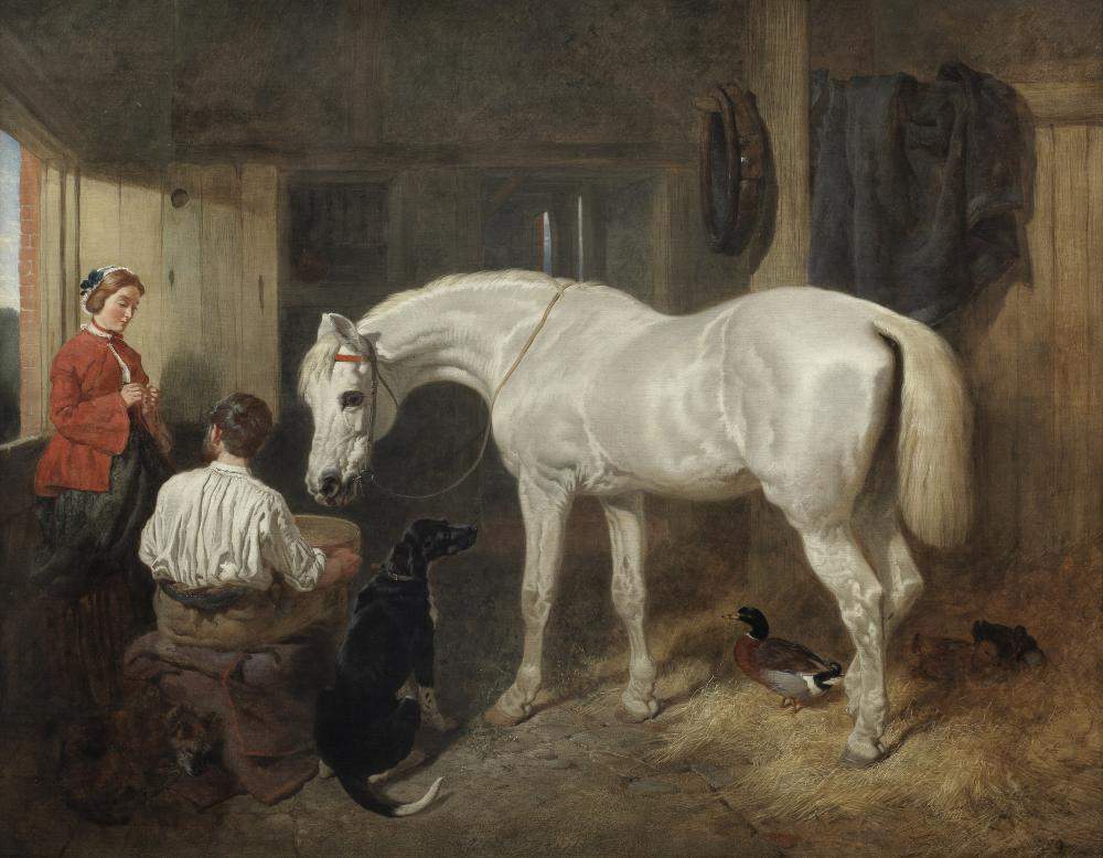 Solve herring jigsaw puzzle online with 208 pieces