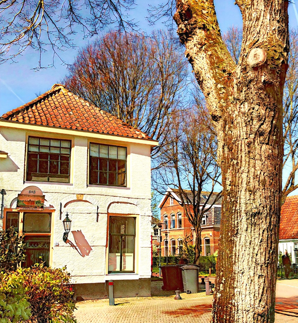 Solve Egmond aan de Hoef jigsaw puzzle online with 72 pieces