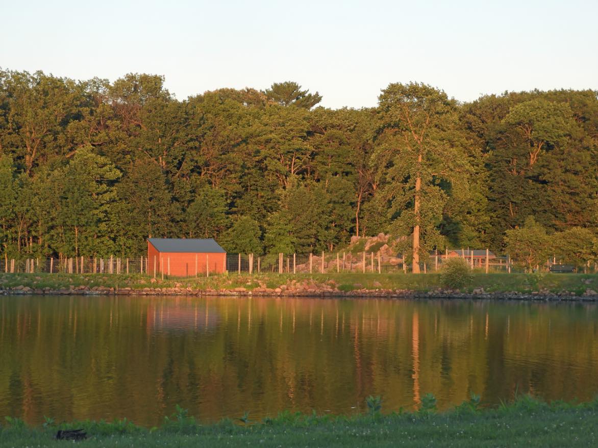 Solve Part of the Marshfield zoo (WI) jigsaw puzzle online with 20 pieces