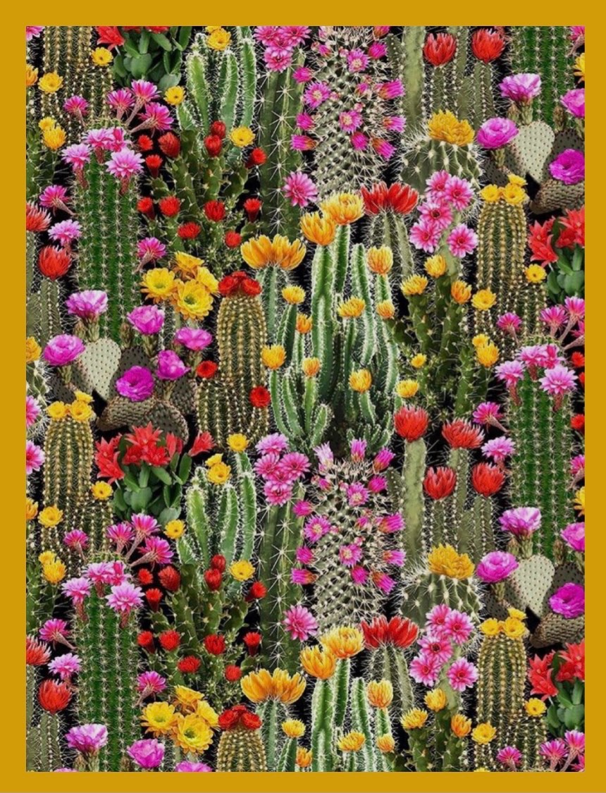 Solve Cactus Field jigsaw puzzle online with 204 pieces