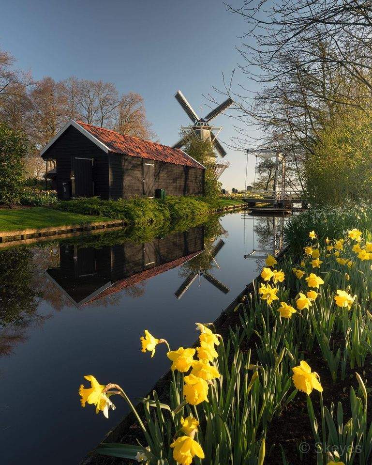 Solve Spring Time In The Netherlands Is A Magical Time Jigsaw Puzzle 