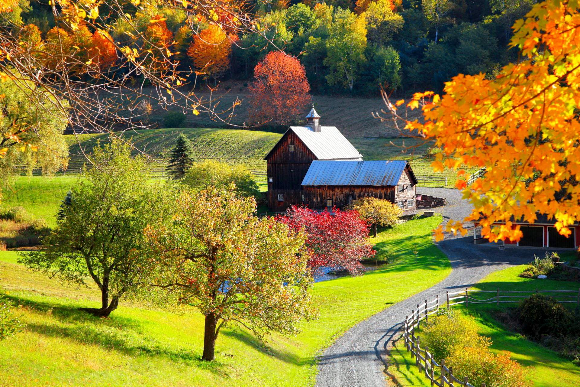 Solve Vermont Countryside In Autumn jigsaw puzzle online with 384 pieces