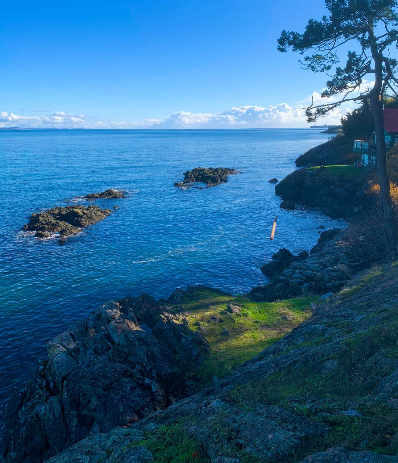 Solve A hike along the shore at Ten Mile Point in Victoria BC jigsaw