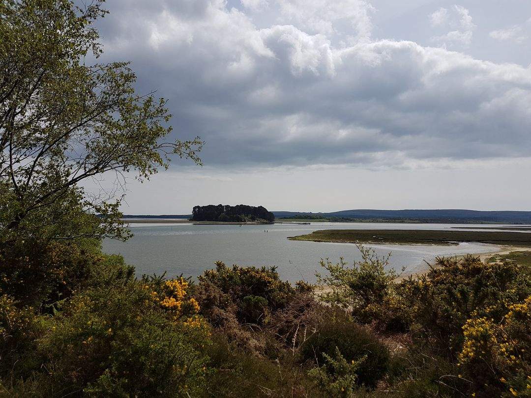 Solve Round Island in Poole Harbour jigsaw puzzle online with 130 pieces