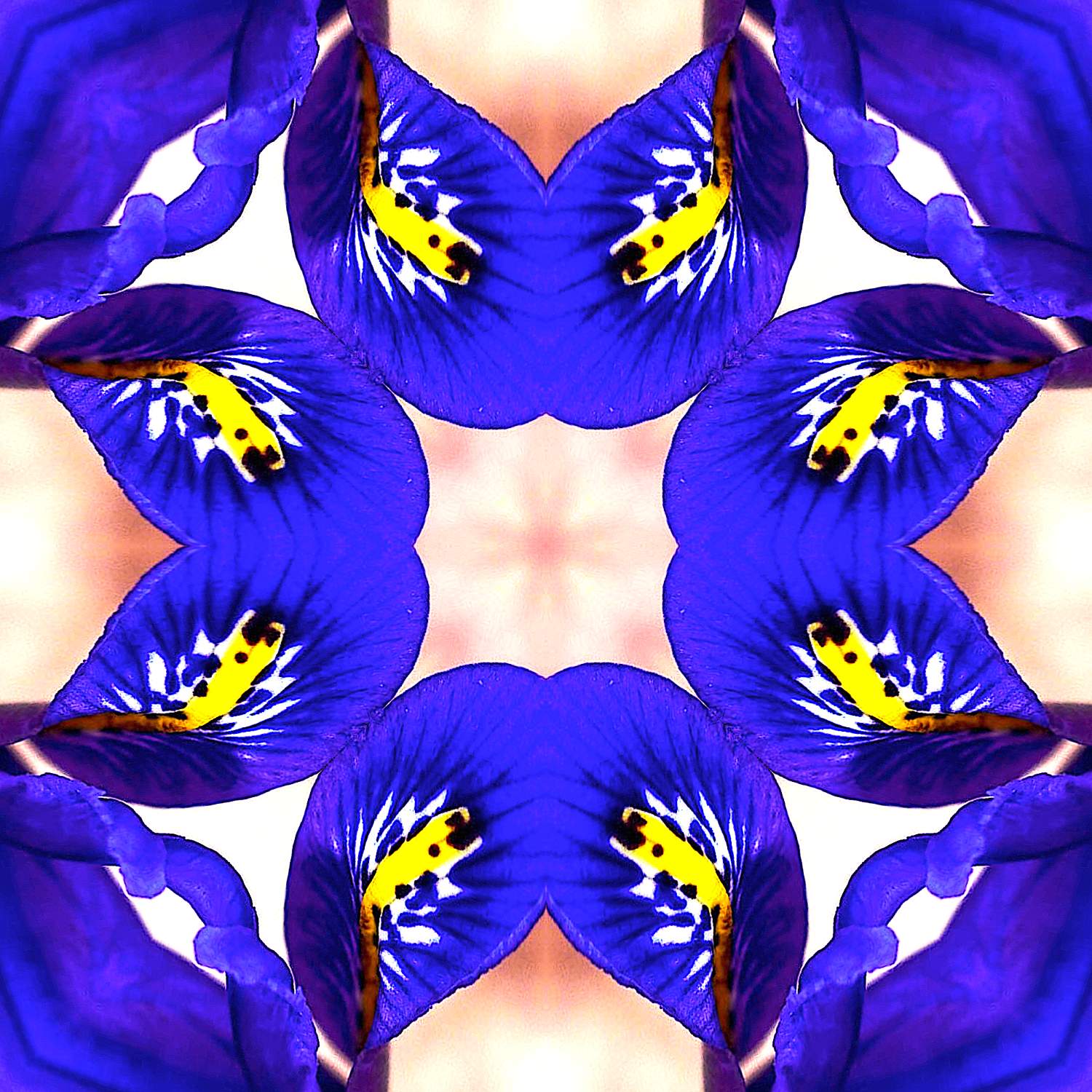 Solve 1 very large jigsaw puzzle online with 225 pieces