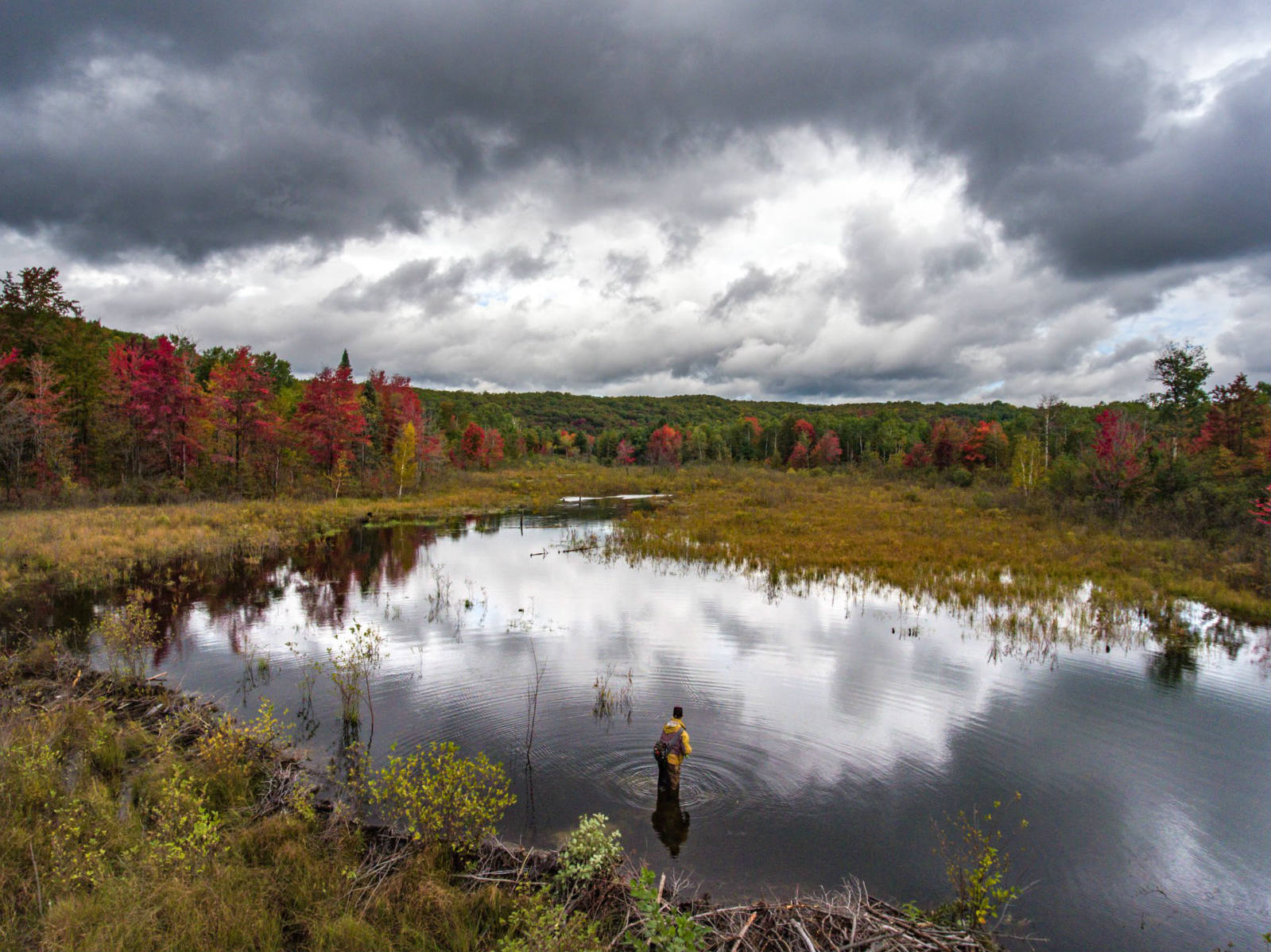 Solve Fishing the Jordan River, MI jigsaw puzzle online with 192 pieces