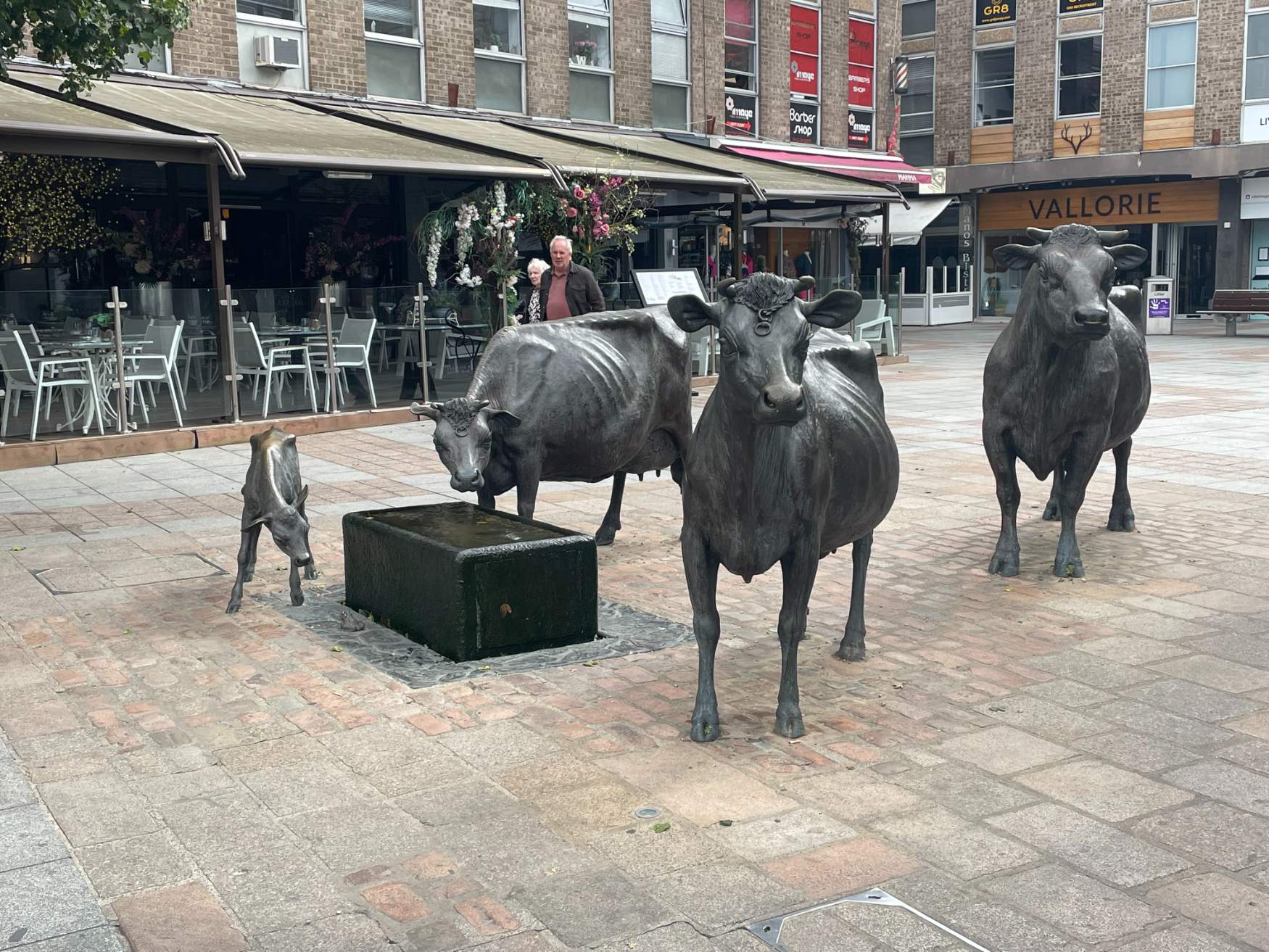 Solve Jersey Cows Statue jigsaw puzzle online with 154 pieces