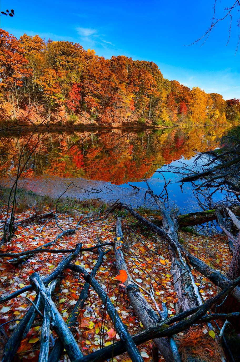 Solve Durand Eastman Park, Rochester, NY jigsaw puzzle online with 77