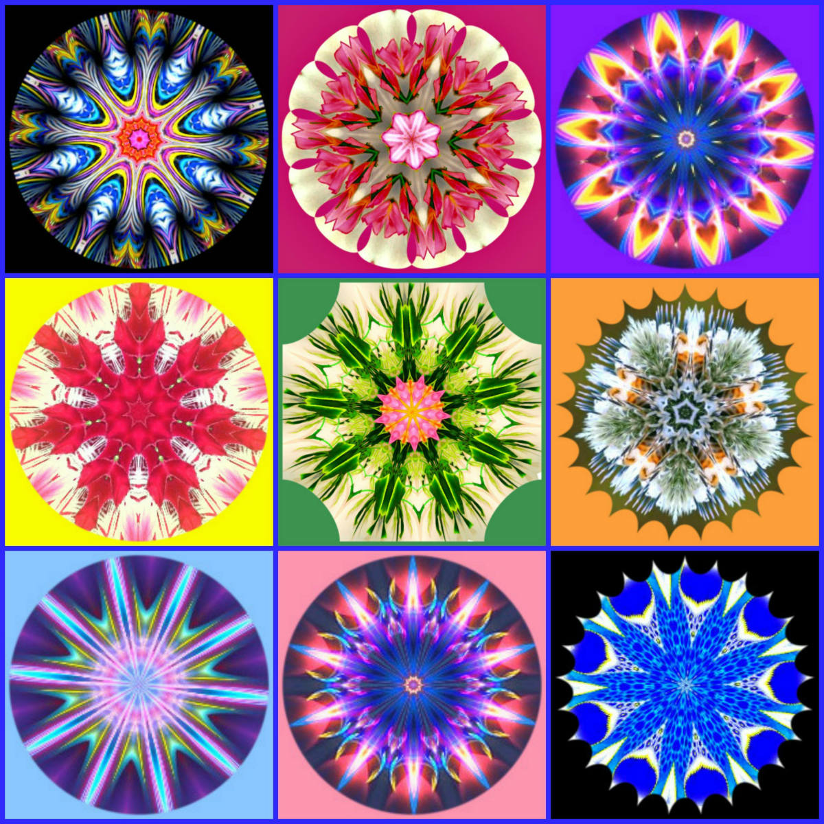 Solve 3x3 jigsaw puzzle online with 225 pieces