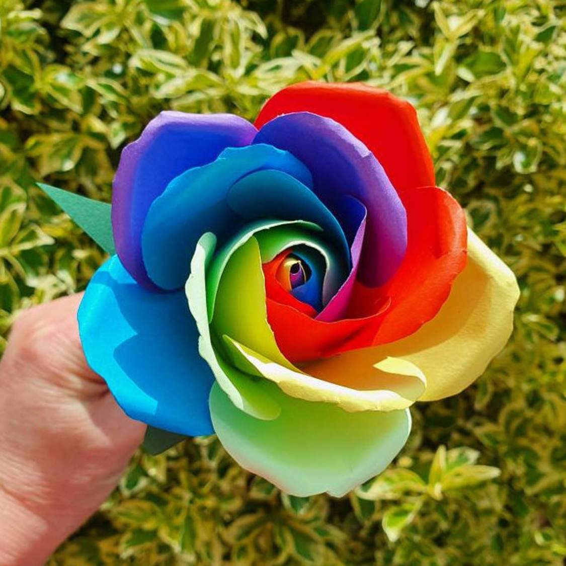 Solve Paper Rainbow Flower jigsaw puzzle online with 64 pieces