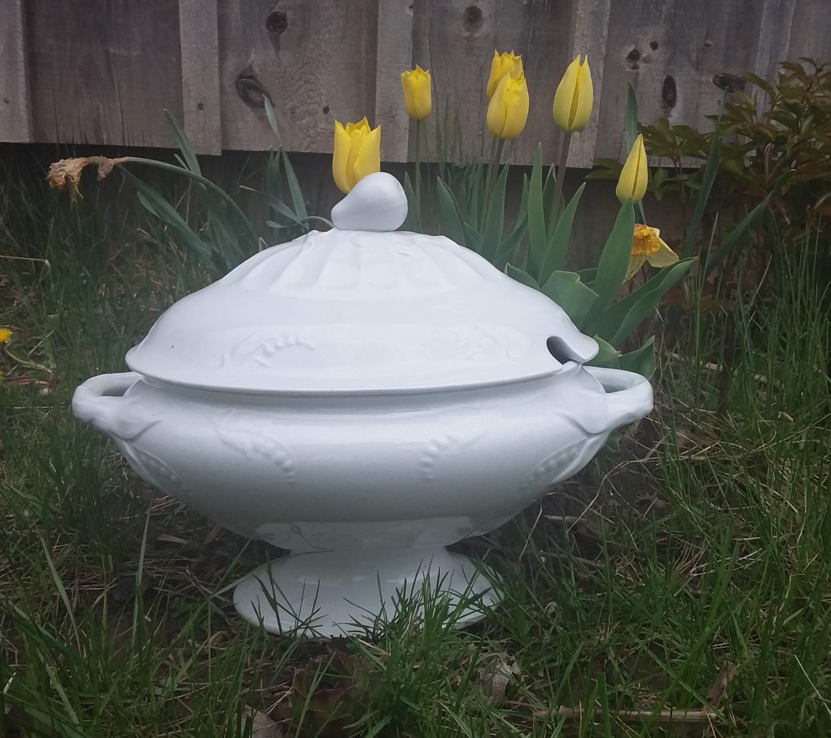 Solve White Ironstone soup tureen jigsaw puzzle online with 168 pieces