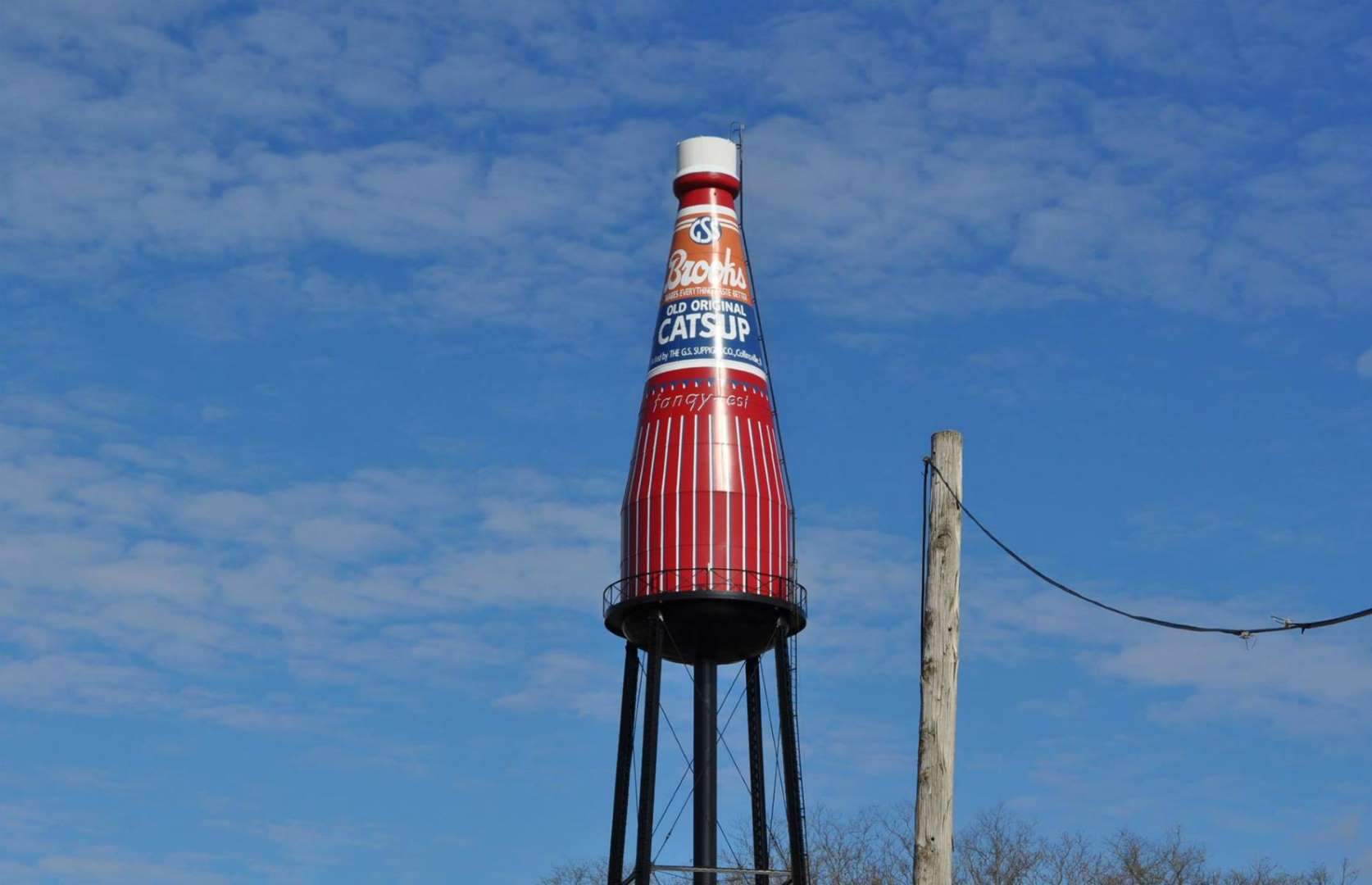 Solve Brooks Catsup Bottle Water Tower, Illinois jigsaw puzzle online