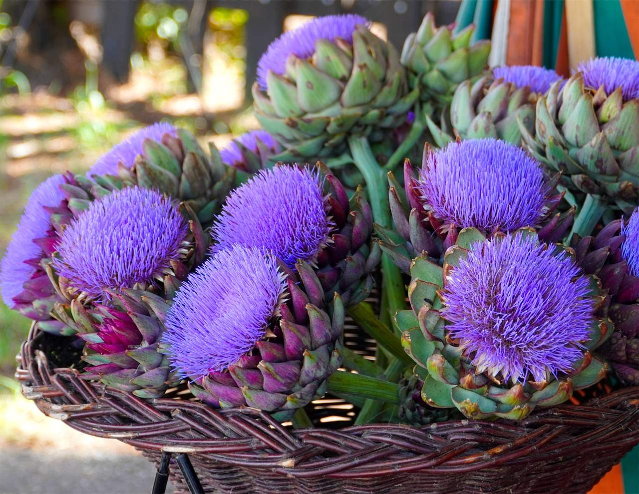 Solve artichokes jigsaw puzzle online with 63 pieces