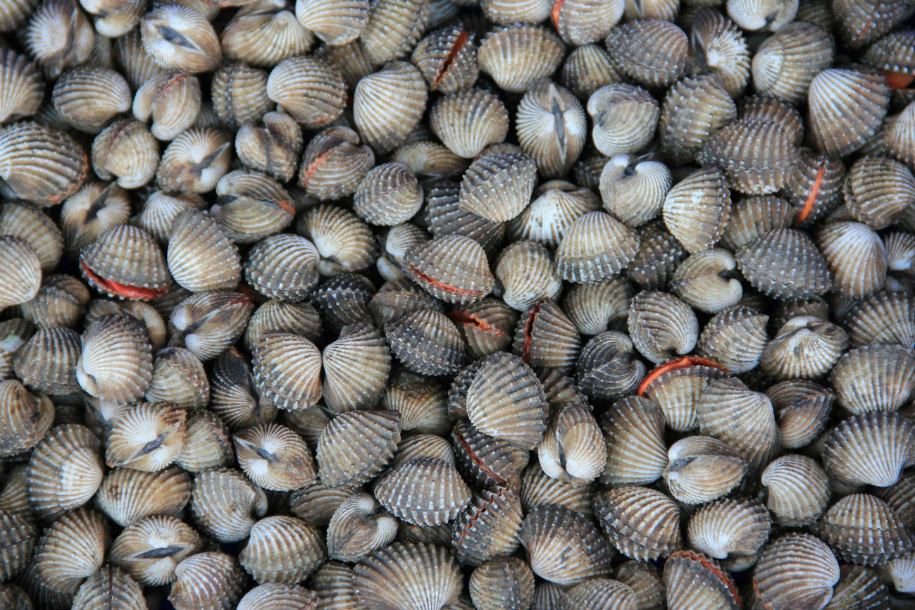 Solve Cockles and Mussels Alive Alive Oh jigsaw puzzle online with 117