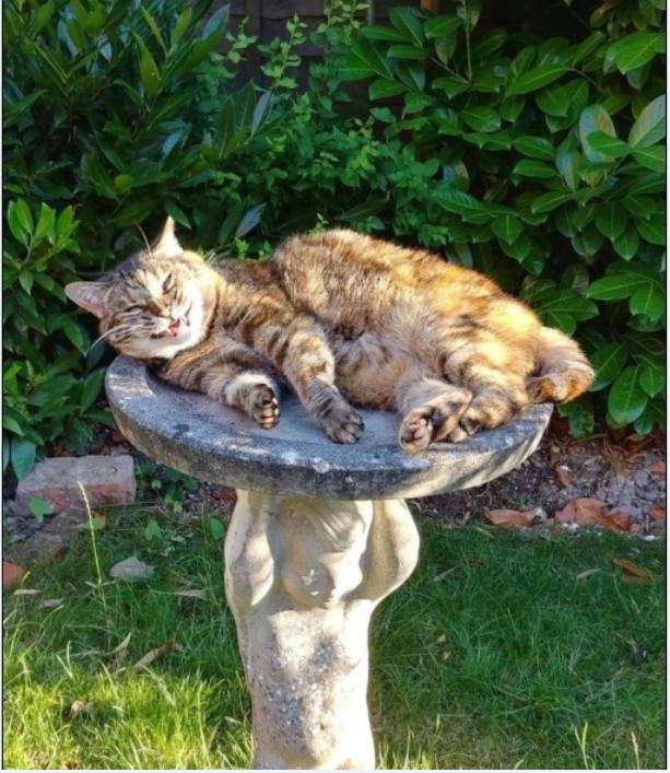 Solve Úsměv_Smile jigsaw puzzle online with 72 pieces