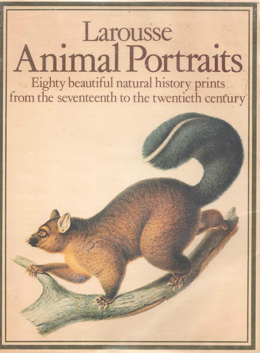 Solve jigidi 210726 larousse animals jigsaw puzzle online with 192 pieces