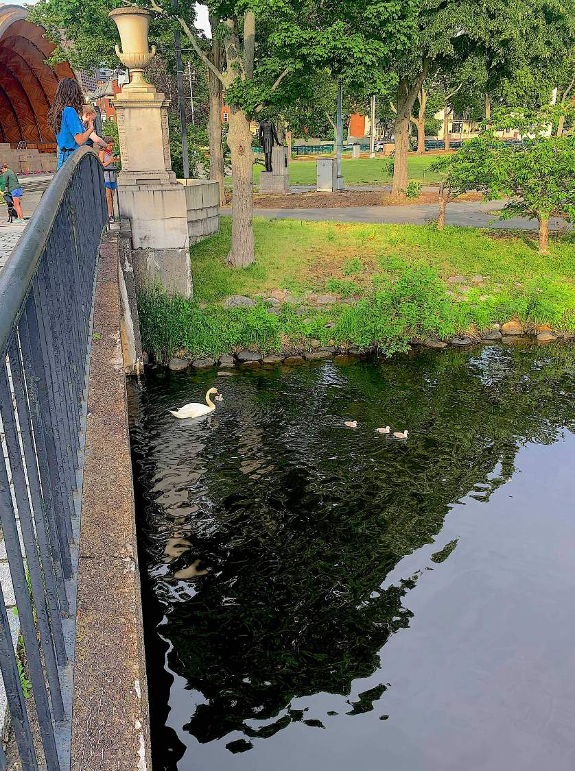 Solve Father Cob and Emerge from Under a Bridge on the Charles