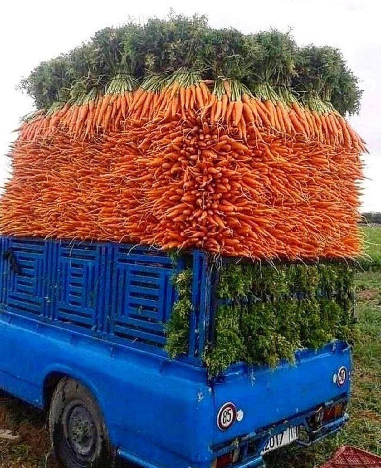 Carrots And Vegetables Wooden Jigsaw Puzzle - 120 Pieces Romaine Calm Art For Adults