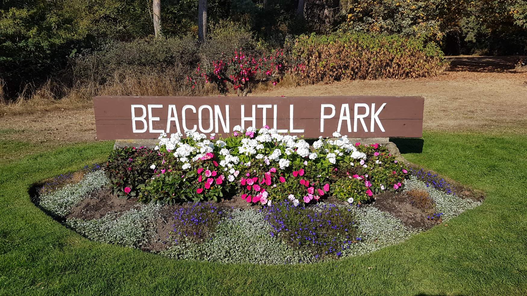 Solve Beaconhill Park Jigsaw Puzzle Online With 112 Pieces