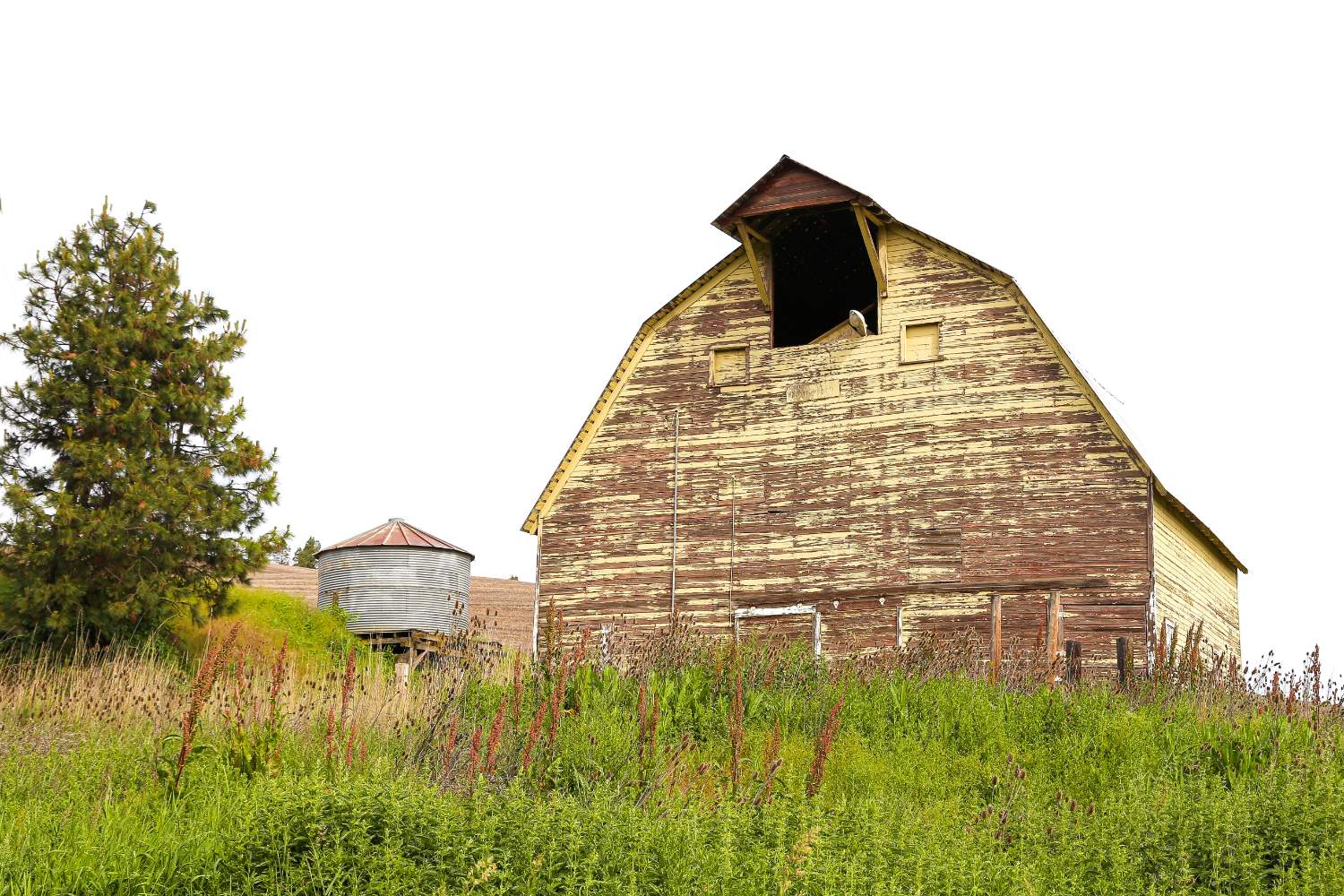 Solve BIG YELLOW BARN jigsaw puzzle online with 96 pieces