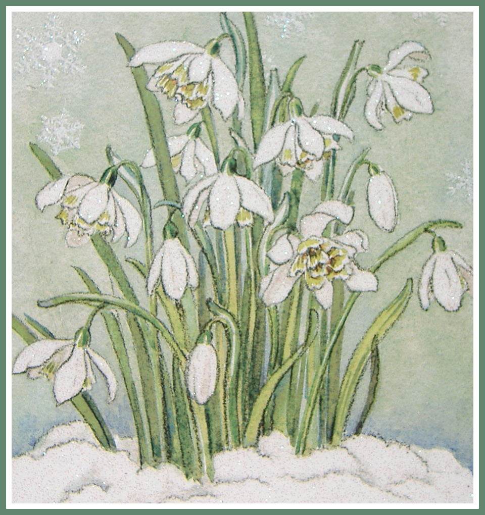 Solve Seasonal Winter Art Card Plants/Flowers Scenic Snowdrops