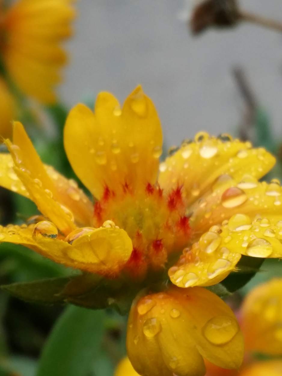 Solve Rainy day in Astoria, Queens jigsaw puzzle online with 80 pieces