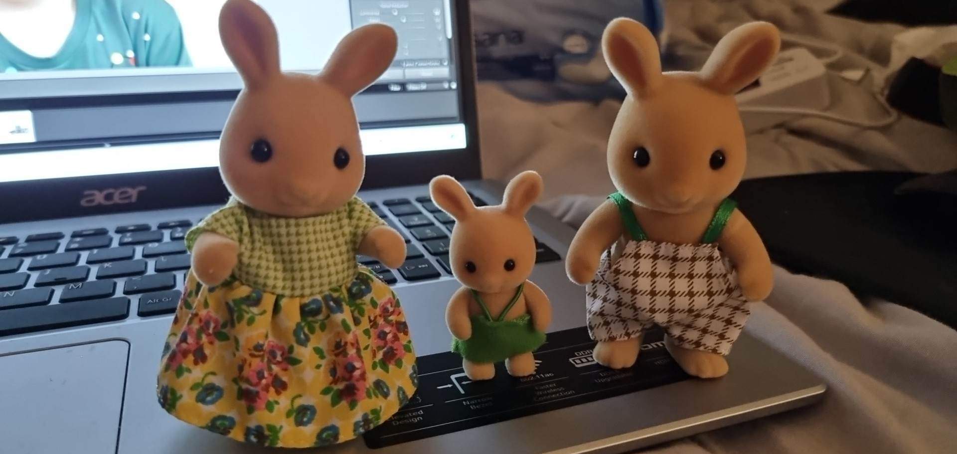 Solve Karens Rabbits jigsaw puzzle online with 162 pieces