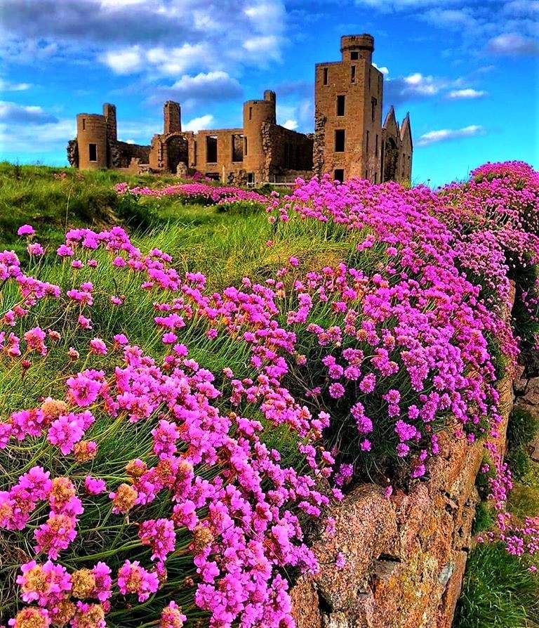 Solve Scotland jigsaw puzzle online with 72 pieces