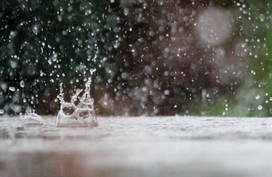 Solve Drip Drip Drop Little April Showers jigsaw puzzle online with 15