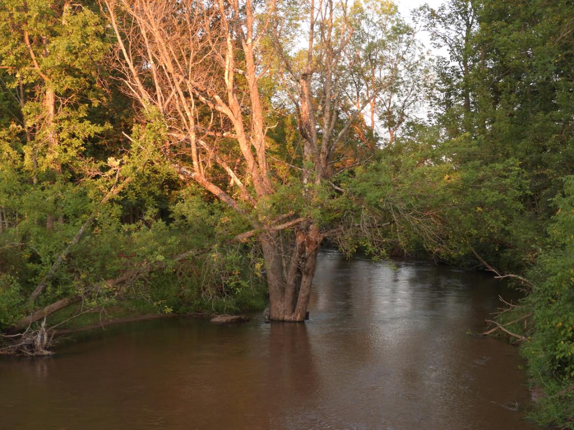 Solve The Marengo River, WI jigsaw puzzle online with 20 pieces