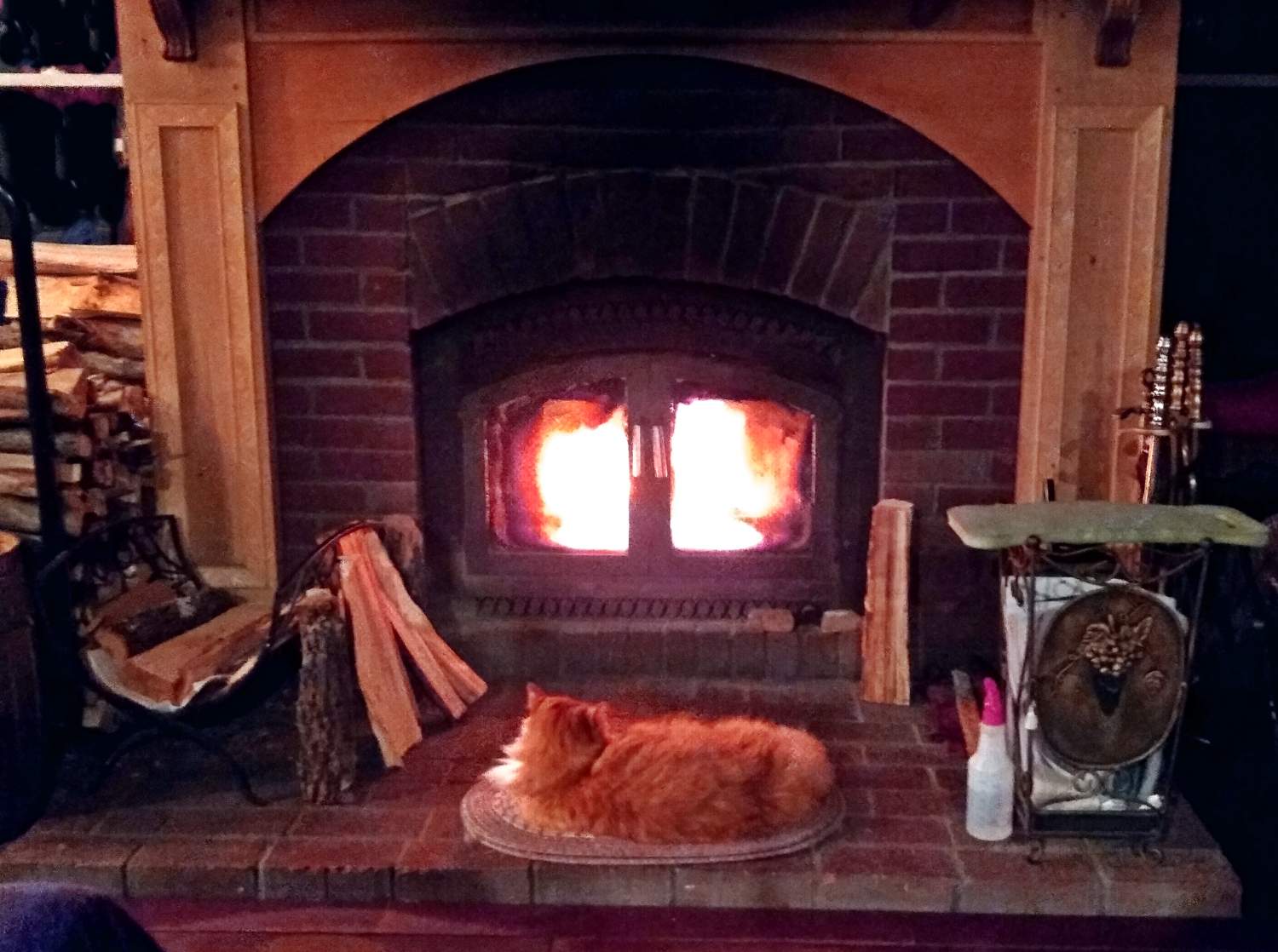 Solve Staying Warm in New England jigsaw puzzle online with 108 pieces