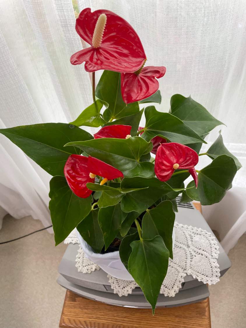 Solve Painter's Palette jigsaw puzzle online with 35 pieces