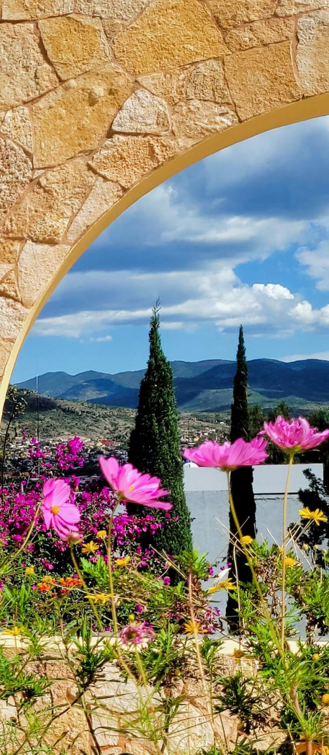 Solve Roof View jigsaw puzzle online with 119 pieces