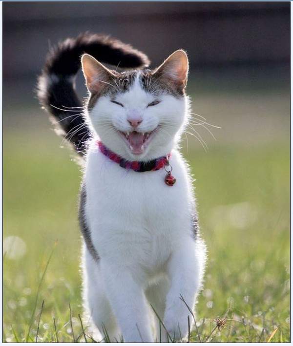 Solve Úsměv_Smile jigsaw puzzle online with 72 pieces