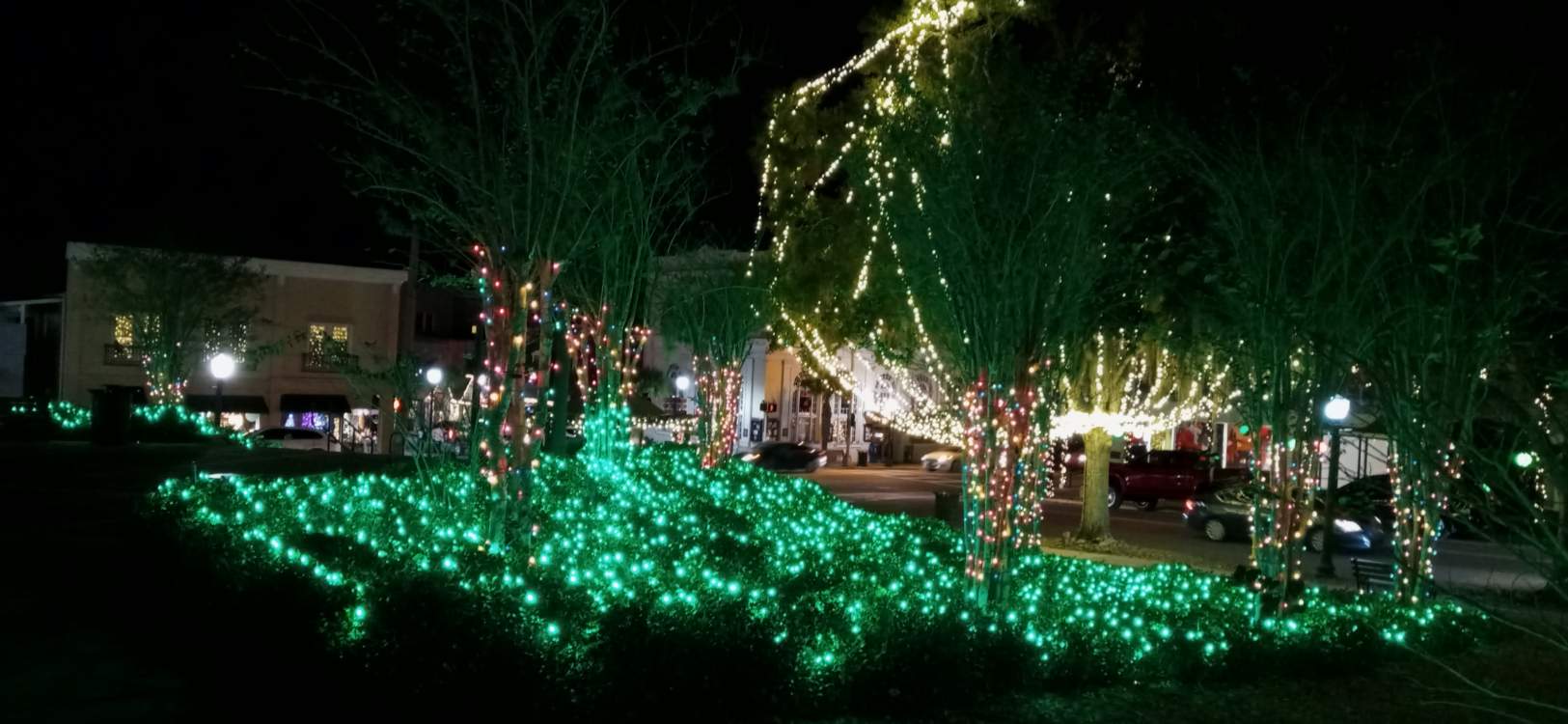 Solve Mount Dora Fl city park Christmas lights jigsaw puzzle online