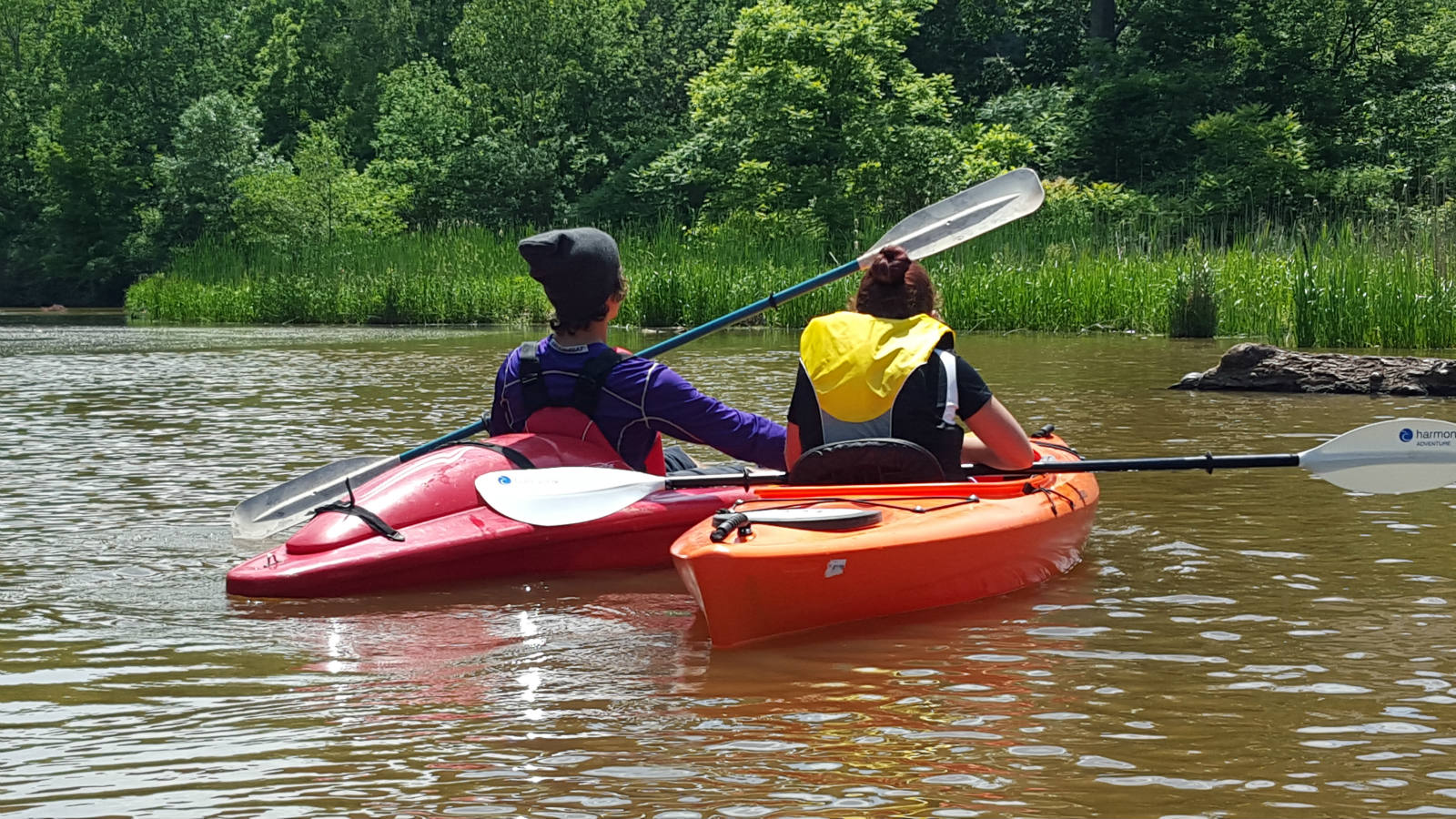 Solve OntarioHamiltonGrindstone Creek jigsaw puzzle online with 405 pieces