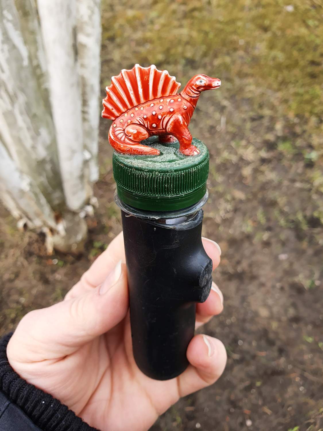 Solve Geocache jigsaw puzzle online with 108 pieces