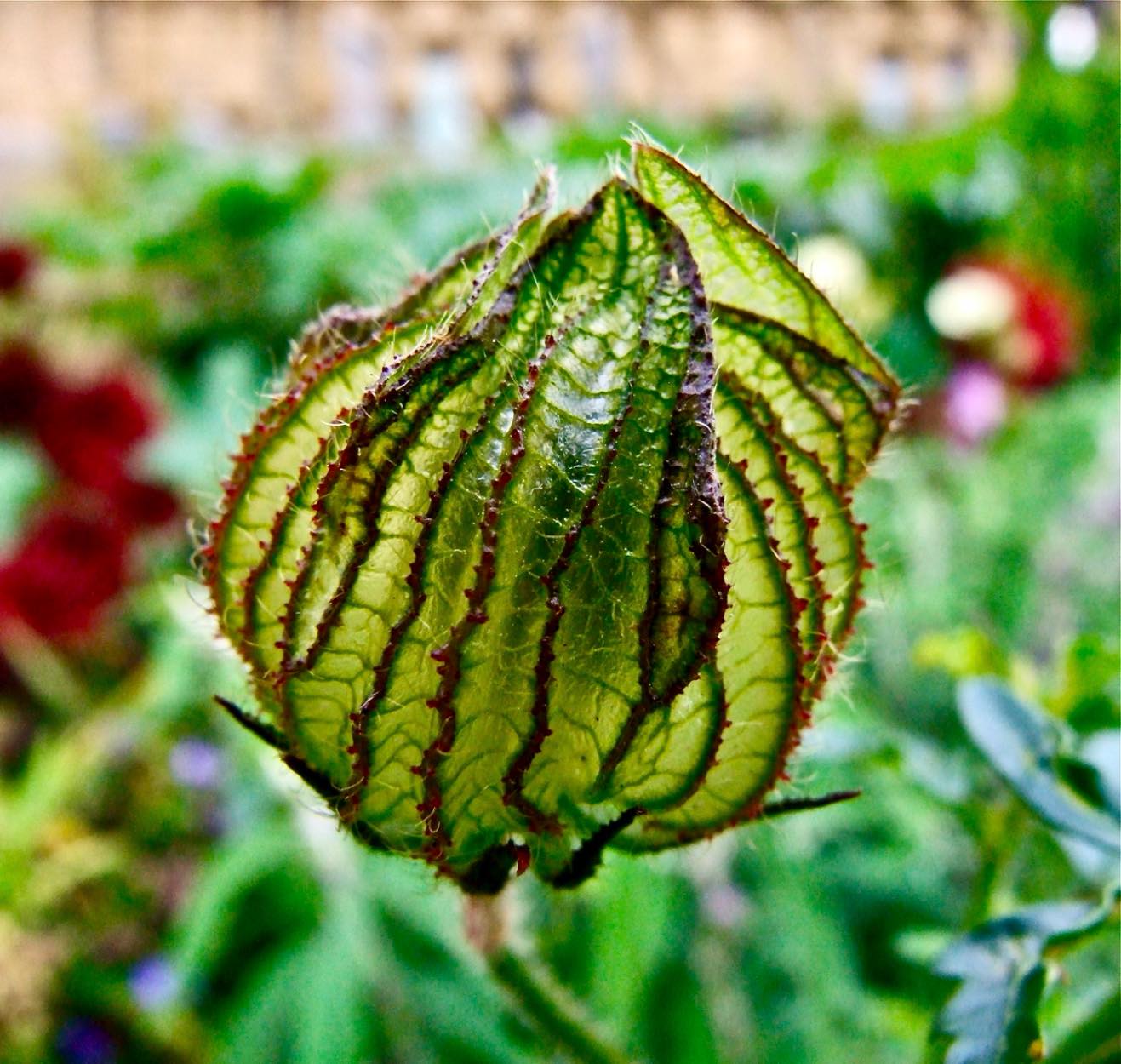 solve-yet-to-open-jigsaw-puzzle-online-with-100-pieces