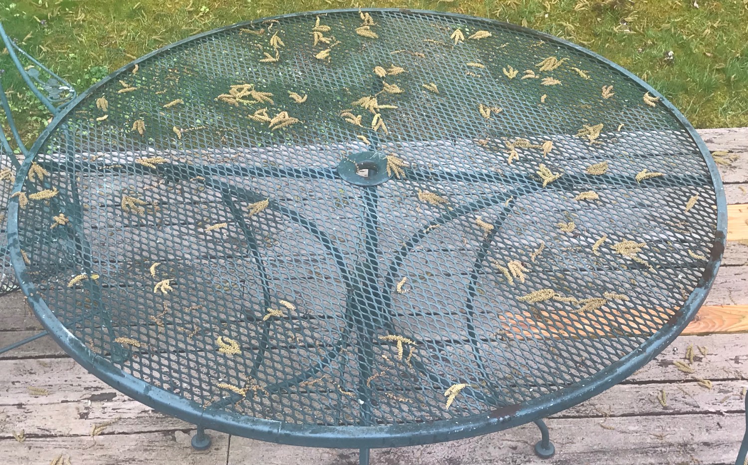 Solve Table and a few (;) oak tree tassels jigsaw puzzle online with 40