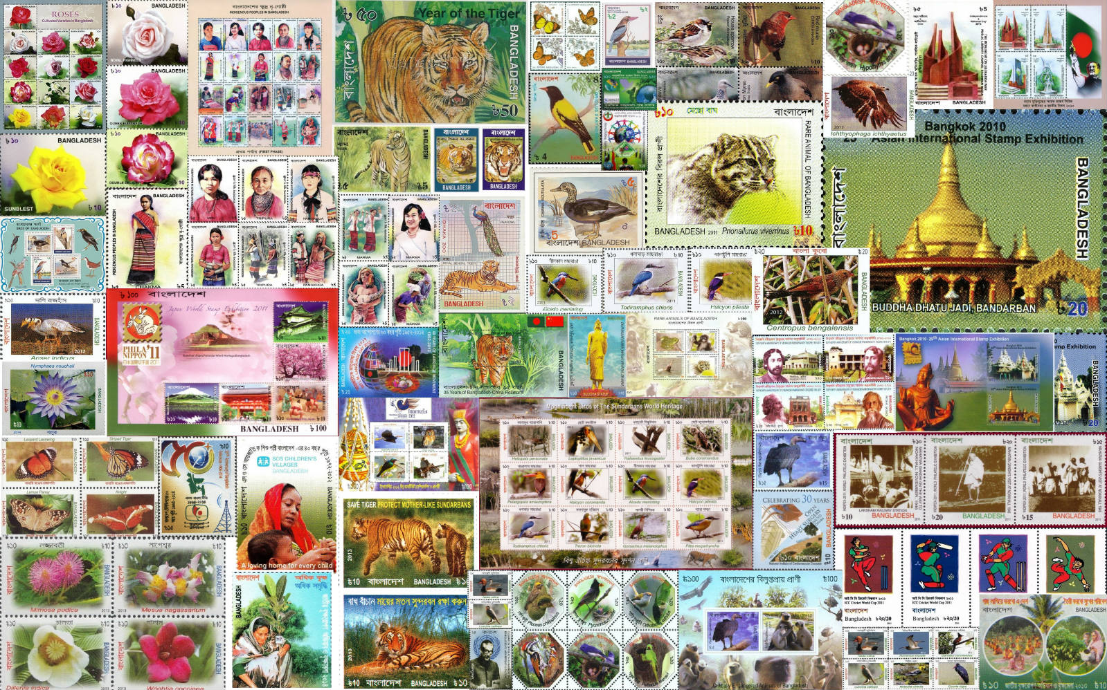 Solve Bangladesh 2010 2014 jigsaw puzzle online with 308 pieces